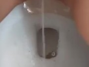Hairy pussy peeing in toilet  2/16