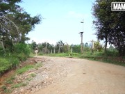 MAMACITAZ - Farmer Boy Picks Up And Fucks Sexy Latina Teen Lali Love 1/16