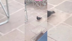 Exhibicionismo y flashing en Córdoba Capital! Argentina 🥵💦 Reynatour