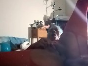 Happy Birthday To Me (new toy reveal part 2)Anal play