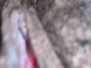 A new pussy just arrive 16/16