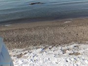 Gave her flowers and stopped being virgin anymore, creampied teen after sex with blowjob 1/16