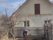 Ordinary garden affairs 5/16