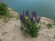 Brunette Teen Finger Fucking Her Pussy in the Warm Breeze 2/16