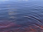 Naked Redhead Teen Plays with a Water Lily 7/16