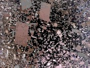 facesitting 365 16/16