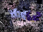 foot worship 101 1/16