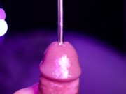 Sounding Penis Plug 8 inch Rod - Pretty Hand 2/16