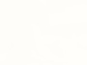 【メンズエステ裏講習】真面目な性格のロリ巨乳の新人セラピストは戸惑いながらも店長のチンコを精一杯シコシコさせられるｗｗｗ 16/16