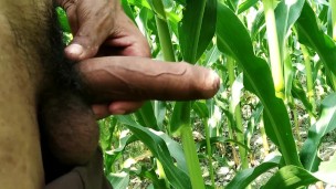 Handjob in outdoor and cumshot on leaf, big cock