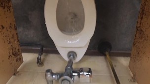 Pissing on everthing