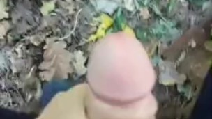 I JERK in forest