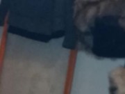 DaymonJones that ass compilation.spacecatusa live.iA 4/16