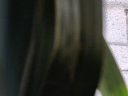 Pleasant, spring heat. 12/16