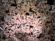 ruler couple kicking cuckold 1/16