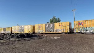 Disfruta de la vida que solo es una (@sttygneno)