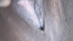 Pussy 🤤🌮