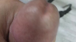 Mastery of Desire: A Sultry Encounter