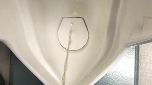 Pee in the toilet of a multi-tenant building