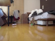 Kitty jumping  10/16
