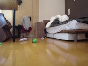 Kitty jumping  15/16