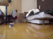 Kitty jumping  6/16