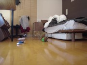 Kitty jumping  7/16