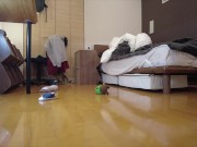 Kitty jumping  8/16