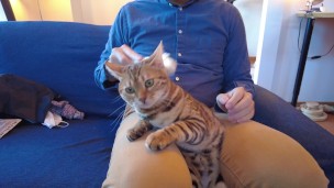 Massaging pussy