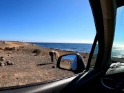 Fit girl caught me jerking off in the car and offered to help - I cum in her mouth! 2/16