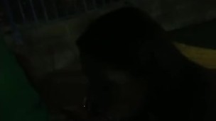 Public blowjob at mini golf course