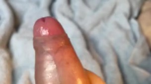 Shiny cock