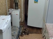 I'm going to work 4/16