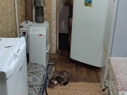 I'm going to work 8/16