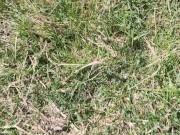 Fanno cose in giro...  13/16