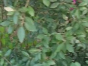 Blowjob after jogging 1/16