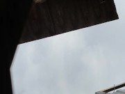 A walk in the garden