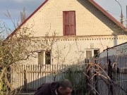 A walk in the garden 2/16