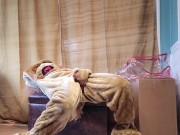 Squirting in my Lion Mascot Suit 14/16