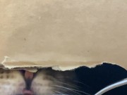 The restrained licks . 13/16