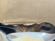 The restrained licks . 15/16