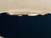 The restrained licks . 16/16