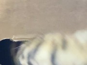 The restrained licks . 3/16