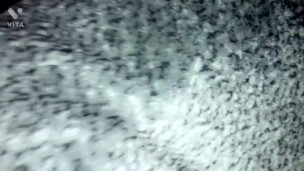 Compilation of Pornbox fucking me hard in my throat ass and pussy most watch ebony freak gets fuck