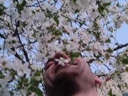 Пелюстки квітів вишні ніжно пестять моє обличчя. Непередаваний аромат 1/16