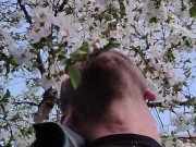 Пелюстки квітів вишні ніжно пестять моє обличчя. Непередаваний аромат 3/16