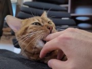 Furry bites you in intense play 13/16