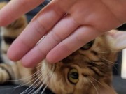 Furry bites you in intense play 6/16