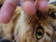 Furry bites you in intense play 7/16