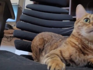 Furry bites you in intense play